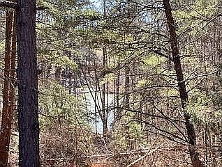 4th image of 0 Goshen Point #9