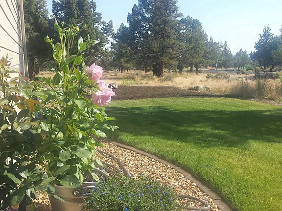 Professionally Maintained Home Landscape