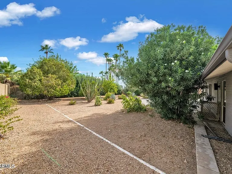 Backyard.