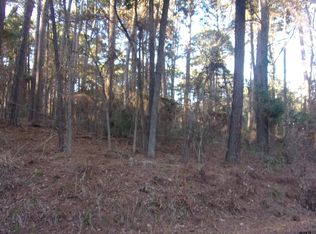 Lake Side Dr, Flint, TX 75762