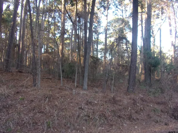 Lake Side Dr, Flint, TX 75762