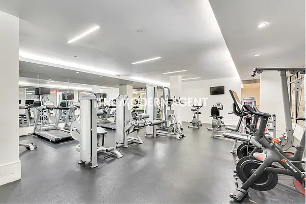 Rented by Level Group | media 8
