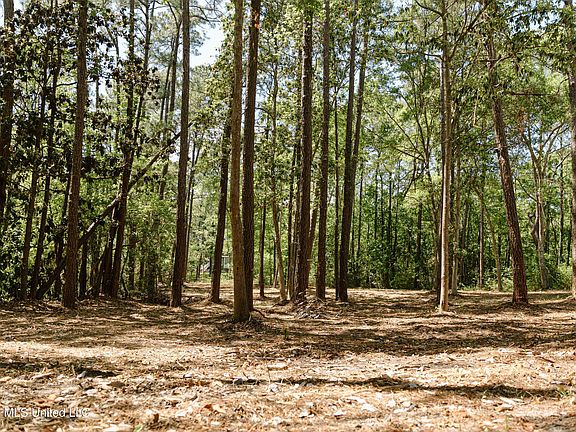 5th image of Honduras Dr Lot 14