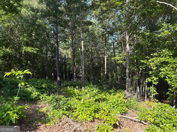 0 Anna Claire Dr #11, Monticello, GA 31064