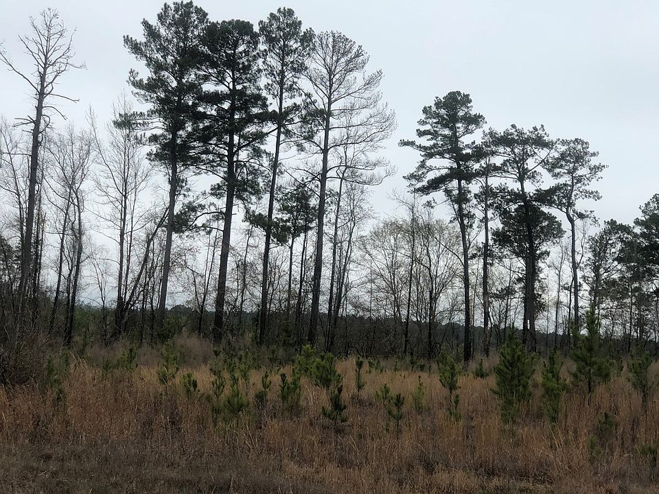 2nd image of Academy Rd