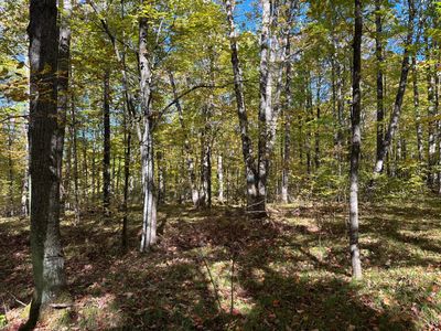LOT 1 Kentuck Lake Rd, Phelps, WI, 54554