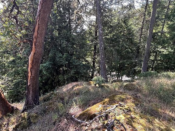 3rd image of LOT 38 Pirates Rd