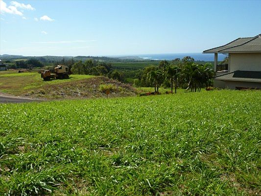 1st image of Kua Aina St