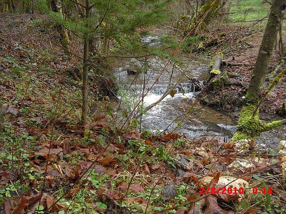 Many perfect creek areas