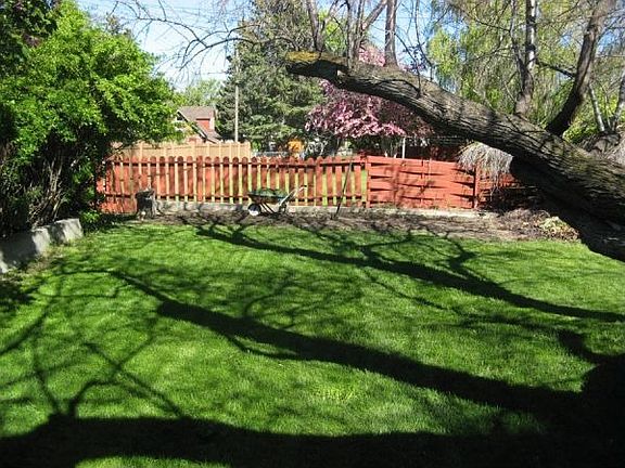 Backyard garden