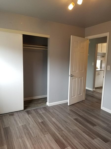 Pinnacle Apartments Seattle Wa Zillow