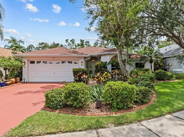 1160 Clippers Way, Tarpon Springs, FL 34689