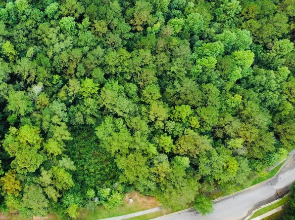 161 Bellegrass Blvd, Hattiesburg, MS 39402