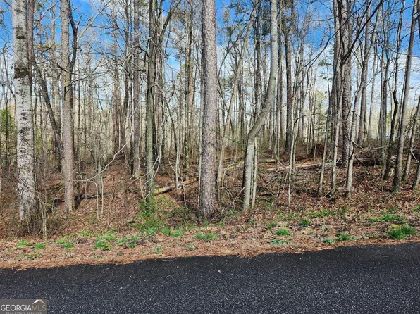 0 Deerfield Cir #40, Mount Airy, GA 30563