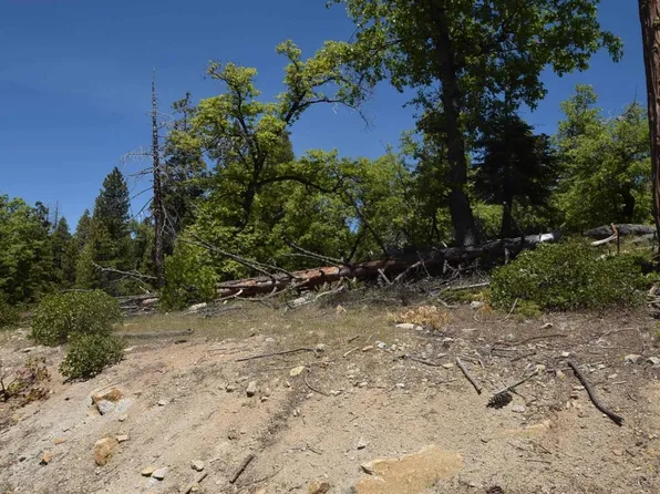 42203 Tourmaline Ln Lot 81, Shaver Lake, CA 93664