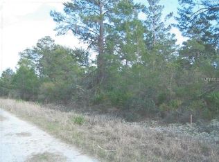 425 Parakeet Ave, Sebring, FL 33870