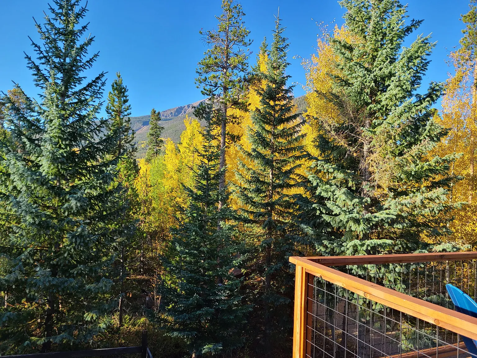 Shoshone Ln, Frisco — Photo 3