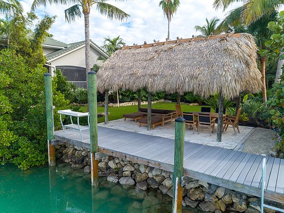 View of Back Yard and Tiki Hut