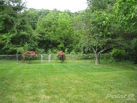 Nice size back yard, trees and scrubs.