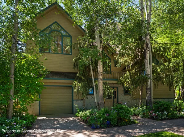 333 W Hopkins Ave, Aspen, CO 81611