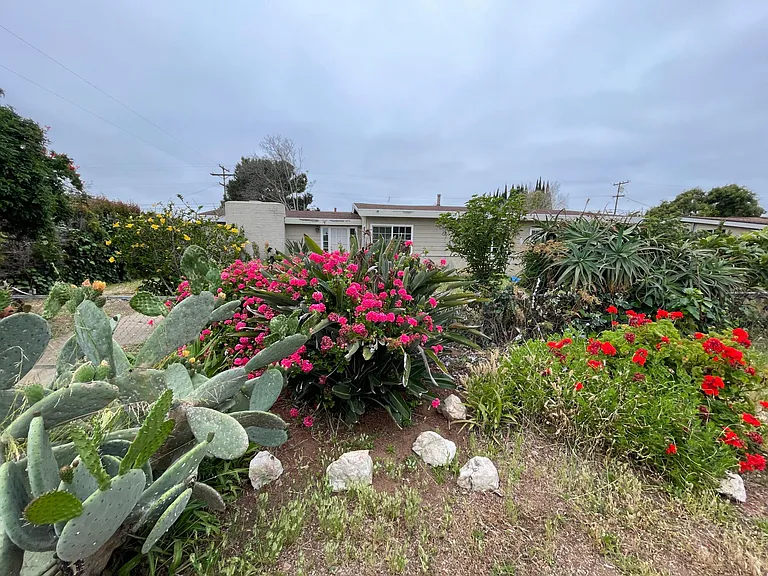 3874 Palo Dr — Photo 2