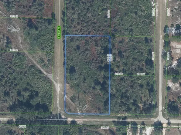 1463 S Snead Rd, Avon Park, FL 33825