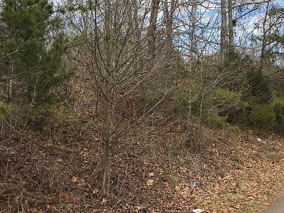2nd image of 0 Brandy Hills Dr