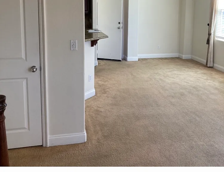 19123 Alexa Ln — Photo 2