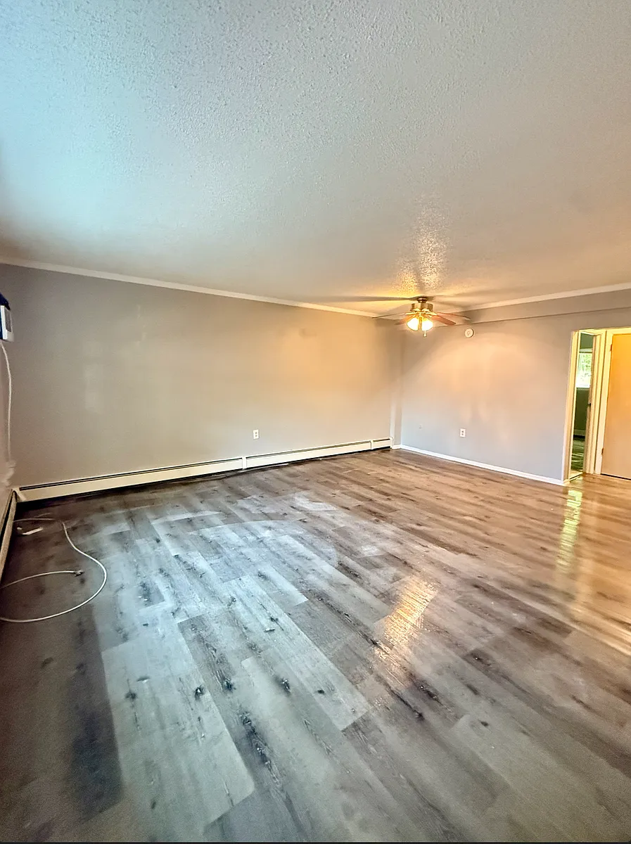 Building Photo - 6014 Springfield Ave #1