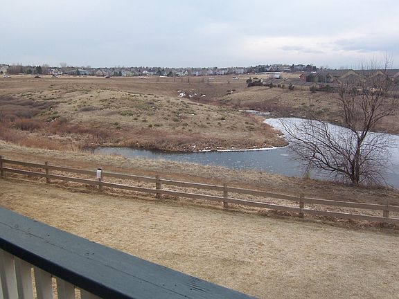 watch the ducks and geese!