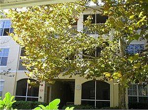 1st image of 9415 Crescent Loop Cir APT 104