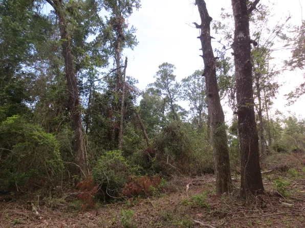 Mount Bethel Rd Lot Wp001, Sandy Hook, MS 39478