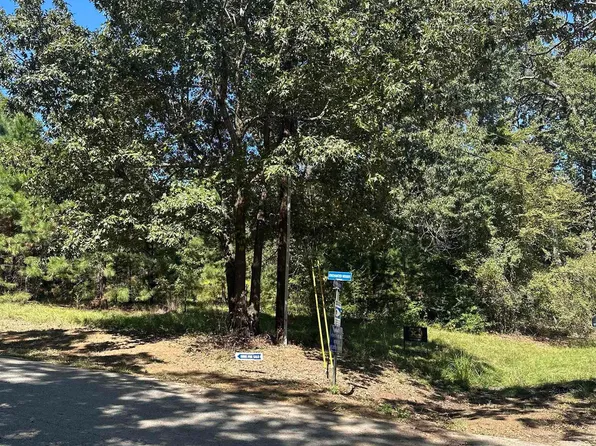 Spring Creek Dr, Flint, TX 75762