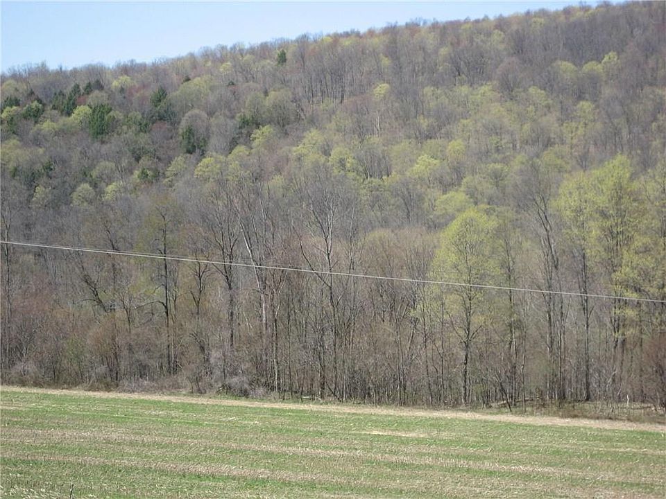 2nd image of 5697 Dresserville Rd
