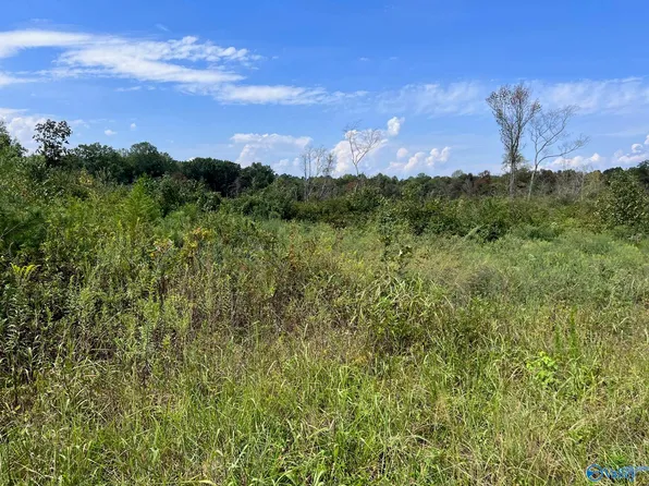 /county Rd #121, Fort Payne, AL 35968