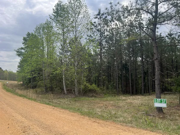 37 Pafford Ln, Erin, TN 37061