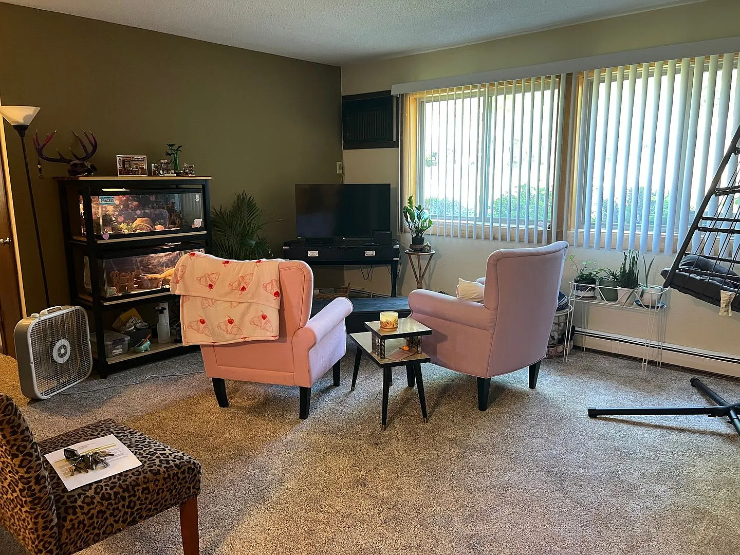 Hillcrest — Photo 1
