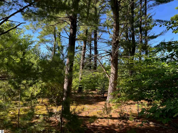 0 Danbury Rd, Kingsley, MI 49649