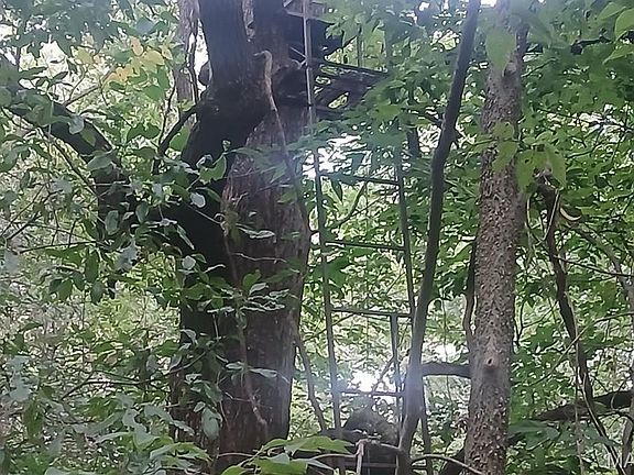 5th image of 0 Silver Creek Rd