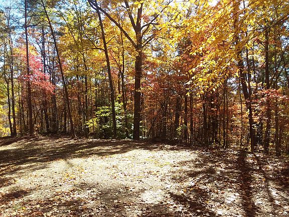 4th image of 13 Valley View Dr