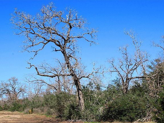 3rd image of County Road 168