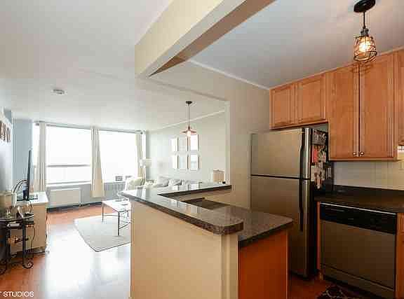 5th image of 1355 N Sandburg Ter APT 905D