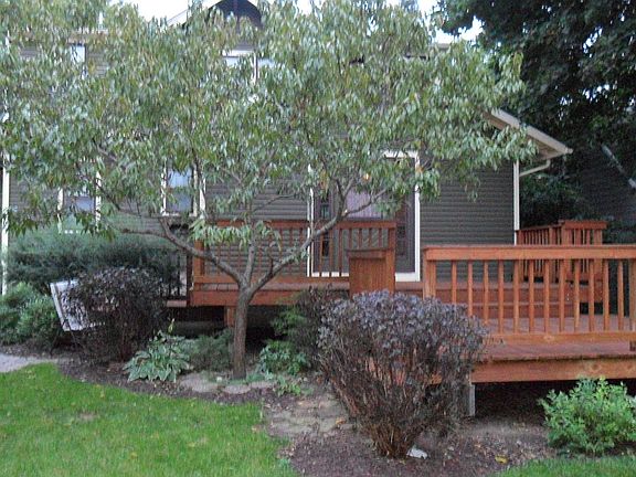 4th image of this home