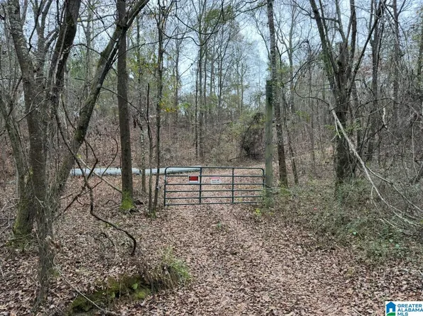 32 N County Rd #1, Verbena, AL 36091