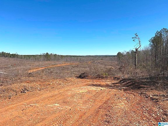 5th image of Walker Rd