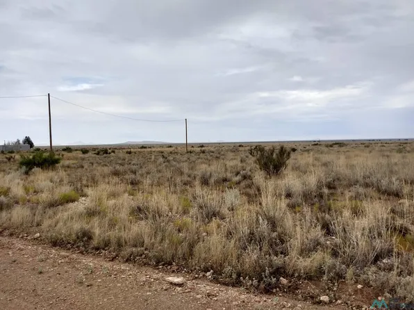 Loco Rd NW, Deming, NM 88030