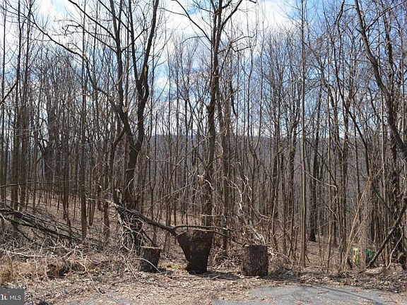 5th image of 403 Bear Hollow Dr
