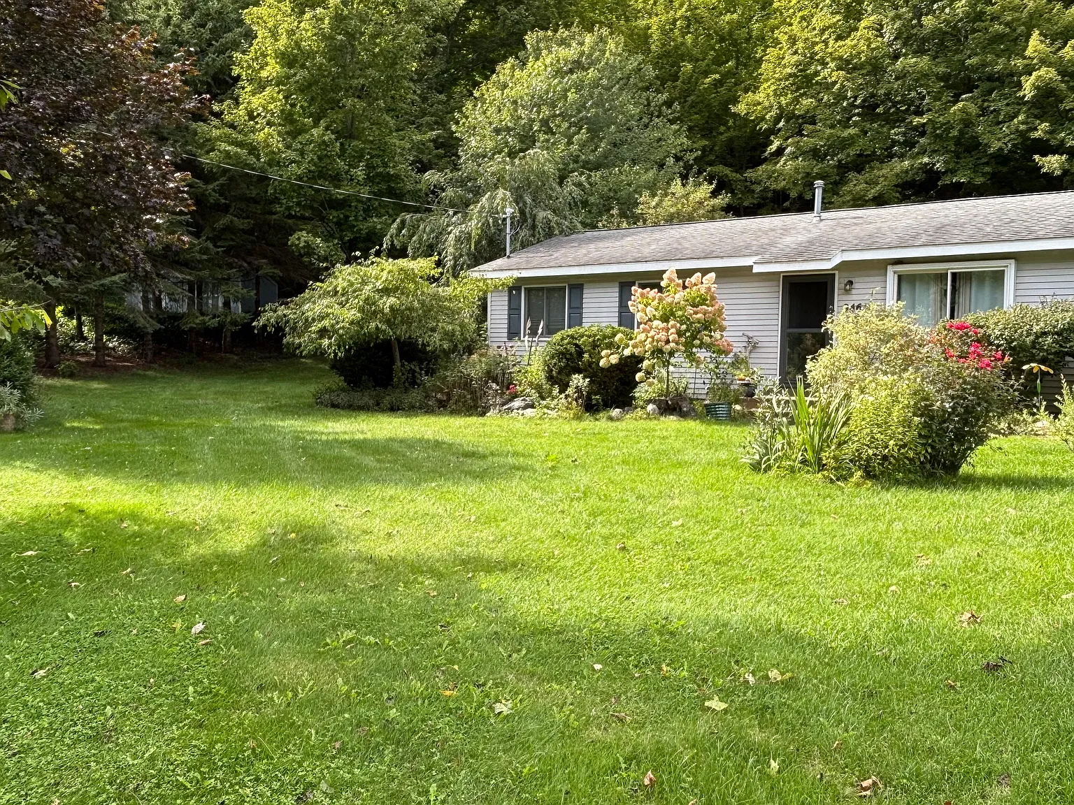 E Hoxie Rd, Cedar — Photo 2