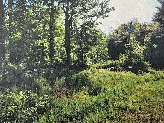 5th image of 63 Sugar Hill Rd