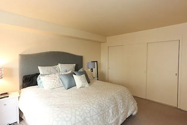 3950 N Lake Shore Dr #C2101 — Photo 10